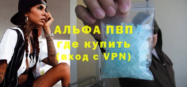 индика Кинешма