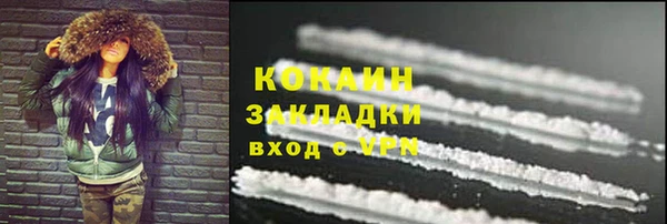 индика Кинешма