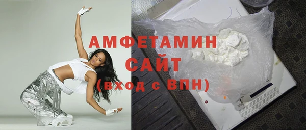 индика Кинешма