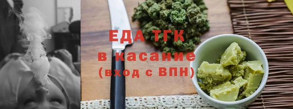 индика Кинешма