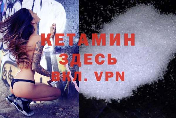 индика Кинешма