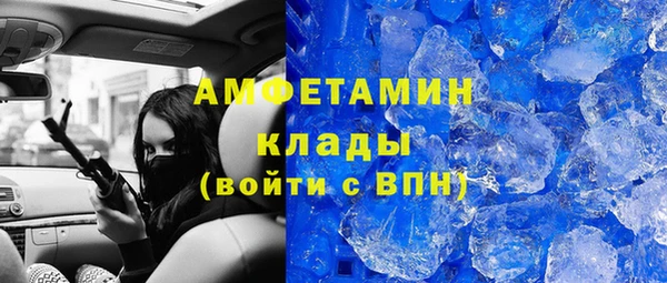 индика Кинешма