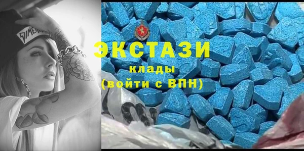 индика Кинешма