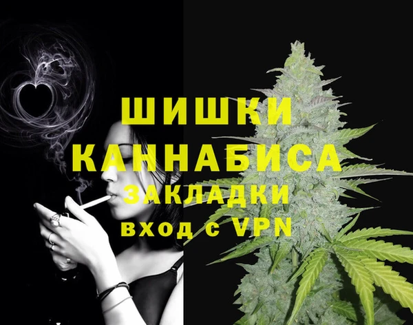 индика Кинешма