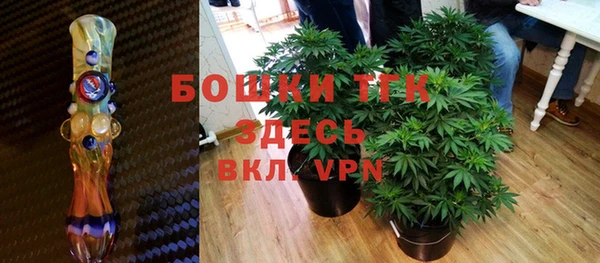 индика Кинешма