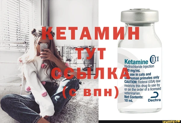 индика Кинешма