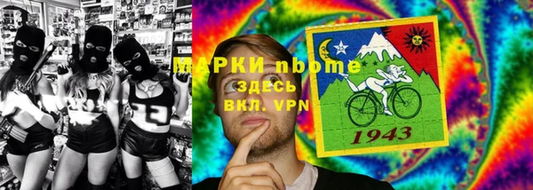 индика Кинешма