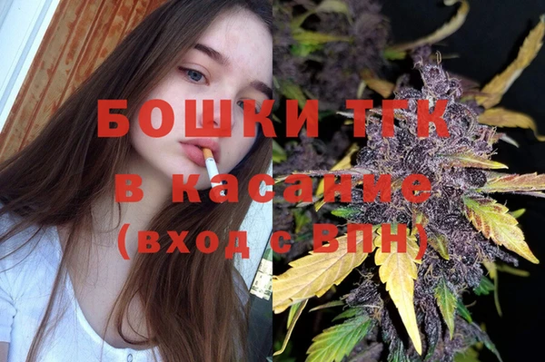индика Кинешма