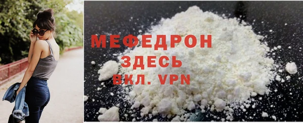 индика Кинешма