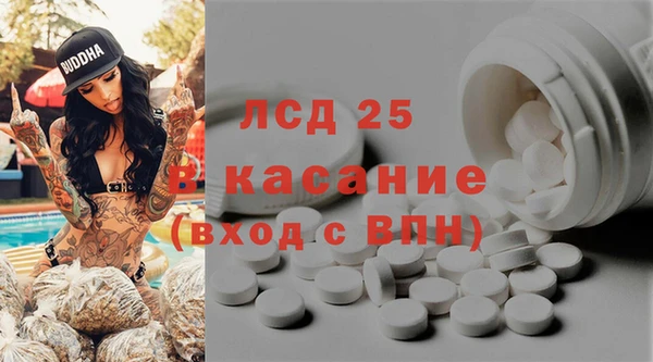 индика Кинешма