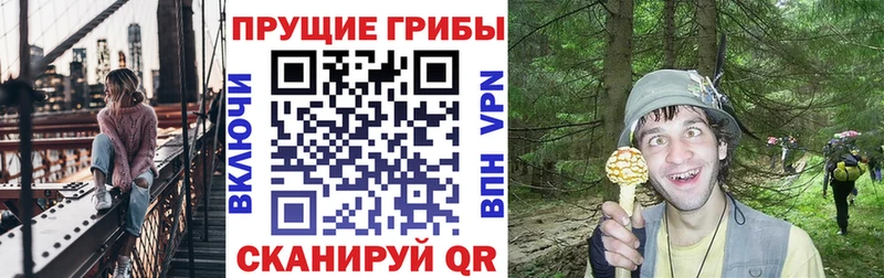 Галлюциногенные грибы прущие грибы  Купить где  Вяземский 